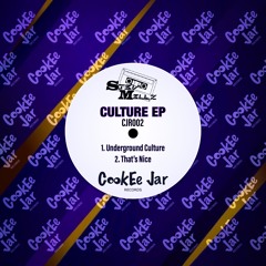 That's Nice (Original Mix) - ST3VM3LLZ