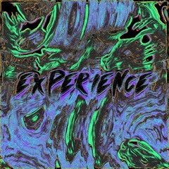 Experience