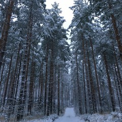 Isolated by Sami Brothers 18.12.2020