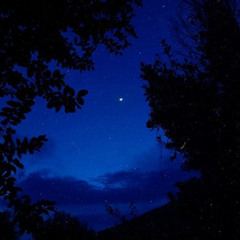 Вайбовые,спокойные песни