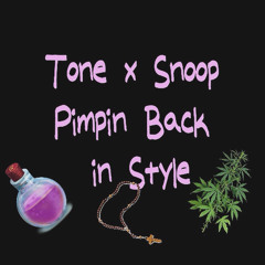Pimpin Back In Style (Feat. Snoop Dogg)