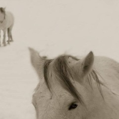 এ᭄錯誤໊的氣候適合錯誤的我們࿐ /𝐴𝑚𝑏𝑖𝑒𝑛𝑡 𝑡𝑖𝑚𝑒