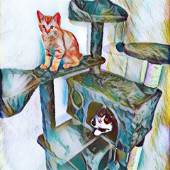 mvp (prod jace2posi)