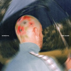 Blossom Hill - 'Home Colours' mini LP
