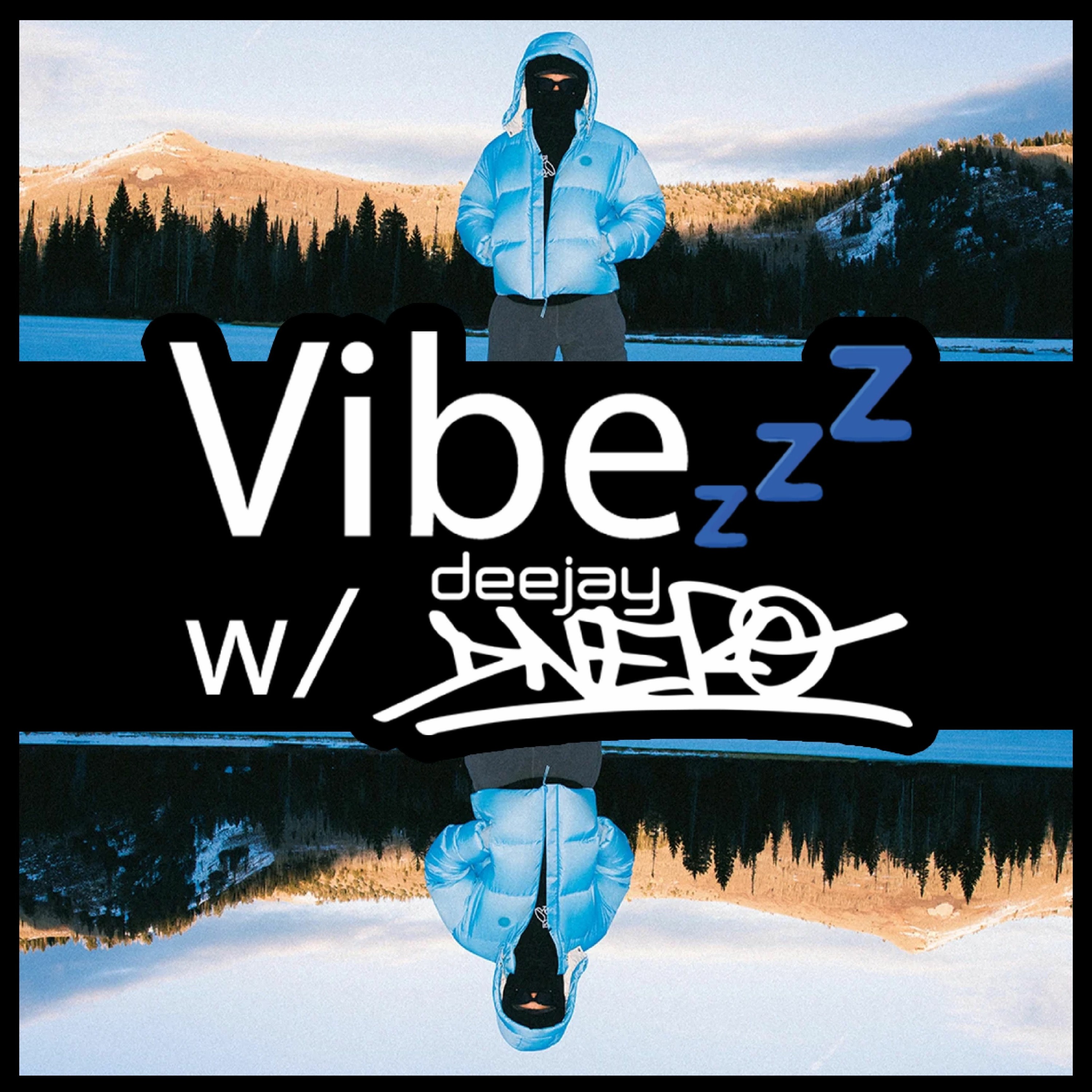 Vibezzz w/ DJ DNERO