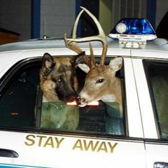 Indistinctive  Prodby@louiefrom29th