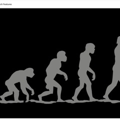 CATERPILLAR Z🐛 ..&..🦋BUTTERFLIEZ