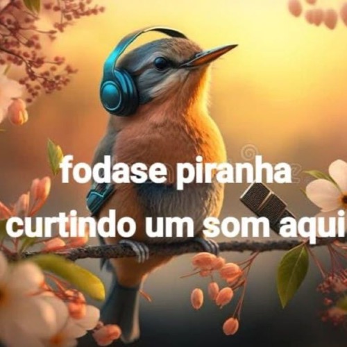 onça.mp3