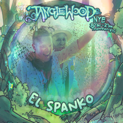 Tanglewood NYE 2024-25