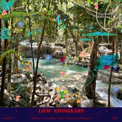 Liew Niyomkarn - If You Suddenly Fall In Love, Don't Let Up