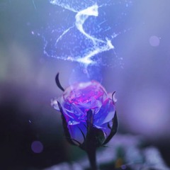 Dark Rose [FREE] PROD. FOXYBEATS