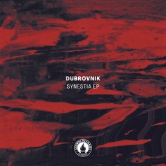 PREMIERE: Dubrovnik - Charon (Mark Dickov Remix) [Alumni Records]