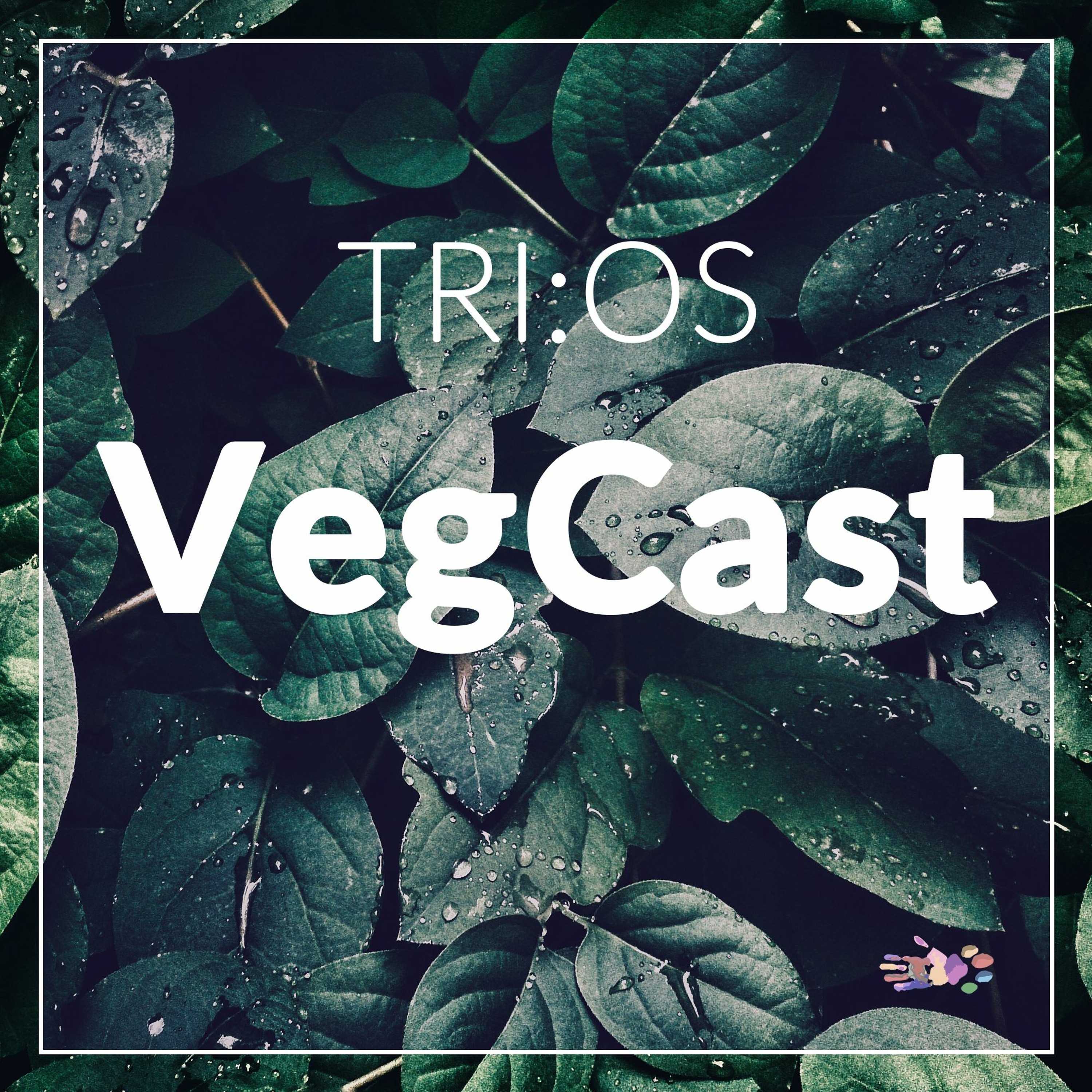 Folge 8: Vegane Weihnachten. Vom 11. Dezember 2020