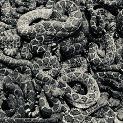 stream playlist