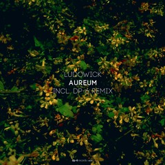 Ludowick - Aureum (DP-6 Remix) [DR217]