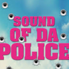 sound of police (f**k you music is good mix)