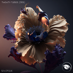 PREMIERE : Twenty Three (SRB) - Can't Know (Original Mix) [Vision 3 Records]