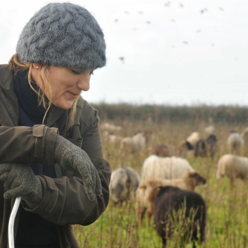 Rebecca Hosking from wildlife filmmaking to agriwilding landscapes