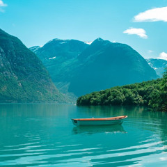 do whatever prod.sneke