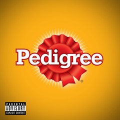JIN YOKAI - Pedigree