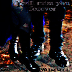 I will miss you forever