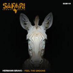 Hermann Bravo - Feel The Groove (Original Mix)
