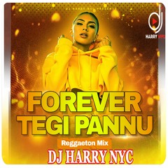 Forever (Reggaeton Mix) | Tegi Pannu | DJ Harry NYC | New Punjabi Songs 2024 | Sajna Tere Bina
