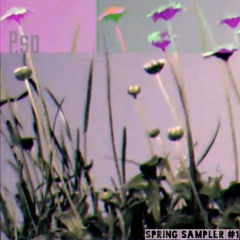 Untitled 1a (Spring sampler )