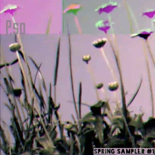 Untitled 1a (Spring sampler )