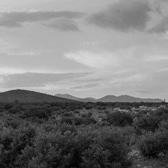 MIGO LINGO FREESTYLE x DARLING SKY