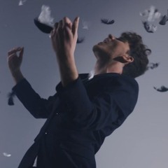 Mathis Pacchiano-L'oiseau Noir