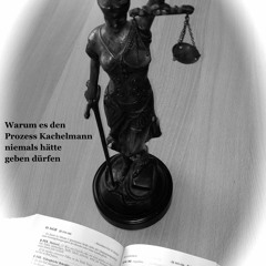 PDF Book Warum es den Prozess Kachelmann niemals h?tte geben d?rfen (German Edition)