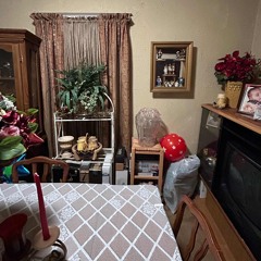 CoLeaf Human Brand $$$ ‘Flylo kicks’