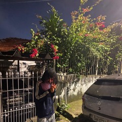 perdi