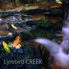 Lyrebird Creek (Dharug NP, Australia) - Album Sample