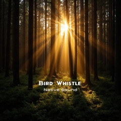 Bird Whistle