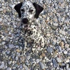 m4a barzakh🧟‍♀️🧟‍♀️