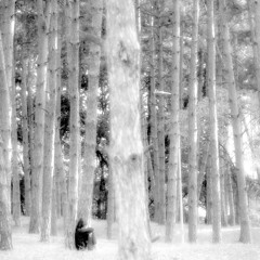 On met la gettho de teco