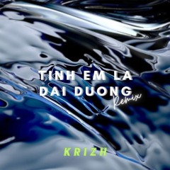 Duy Manh x Cam - Tinh Em La Dai Duong ( KRIZH REMIX )