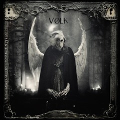 VØLK - I don't know what they want from me