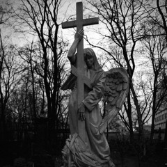 iNSiDE&My,HEAD_clips.