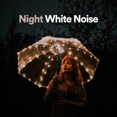 Night White Noise, Pt. 8