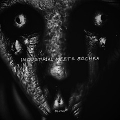 BLŮSH- INDUSTRIAL MEETS BOCHKA
