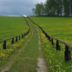آيات قرءانية هزاع البلوشي | راحة وسكينه🥺