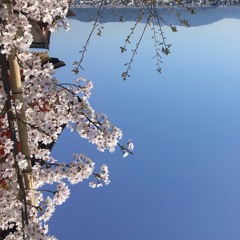 Touchtone Telephone Intro Remix