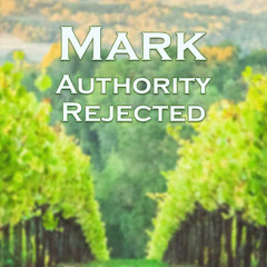 Authority Rejected