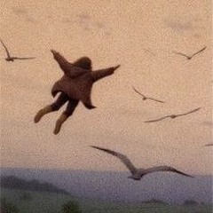 fly with me