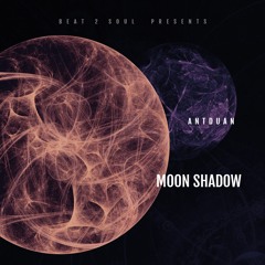 Moon Shadow - ANTDUAN