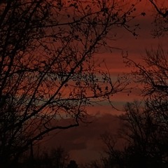 SomebodySaveMe - Prod-wxsted