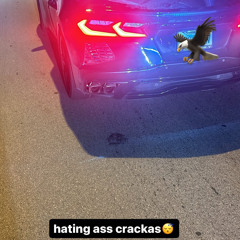 stories